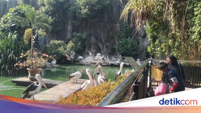 Menghabiskan Akhir Pekan di Ragunan, Datang Sejak Pagi Seru Banget