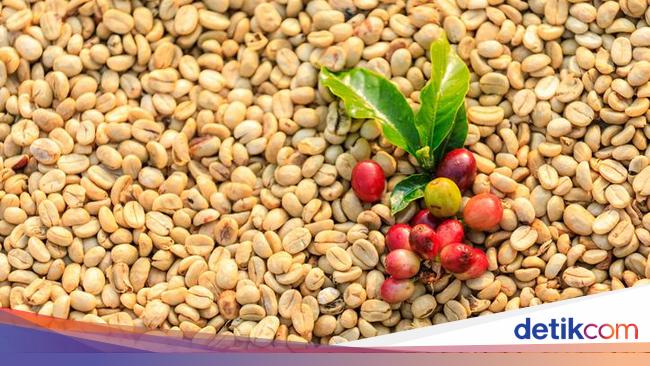 Konsumsi Kopi 'Light Roast' Berkhasiat Cegah Keriput pada Kulit Wajah