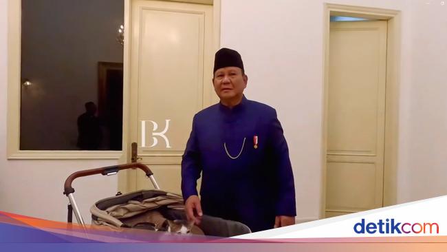 Bobby Kertanegara Masuk Istana, Ini Cerita soal Kucing Kesayangan Prabowo