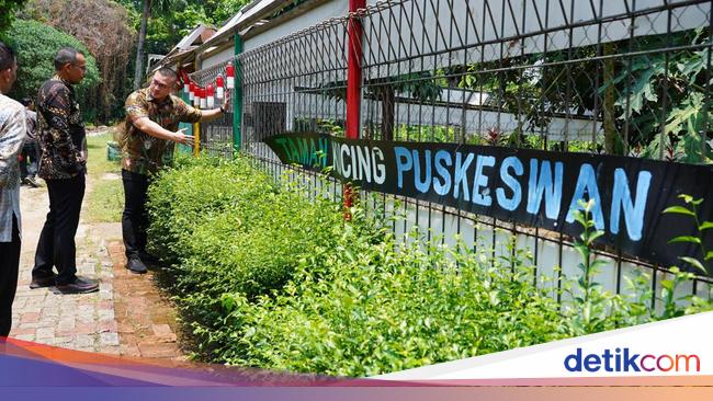 Kunjungi Puskeswan, Kenneth DPRD DKI: Banyak yang Perlu Dibenahi