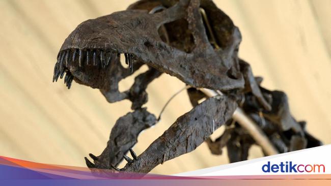 Penelitian Ungkap Ada Interaksi Manusia Purba dengan Dinosaurus