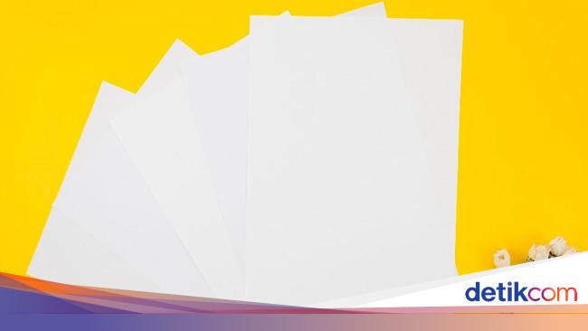 Harga Kertas HVS Fluktuatif, Ini Cara Antisipasi dari Kacamata Bisnis