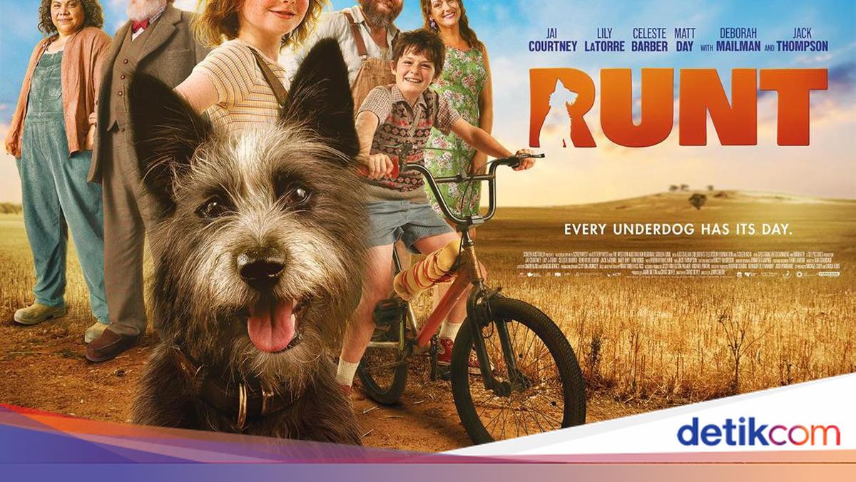 Runt, Film Heartwarming yang Penuh dengan Kelucuan Anabul