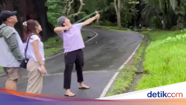 How are you doing! Chinese tourists shoot Moo Deng using Slingshots