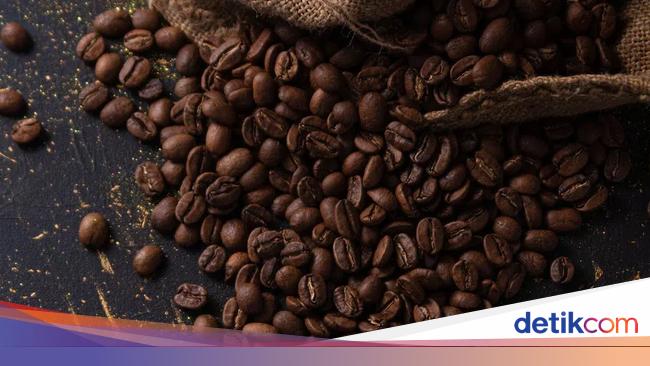 Tinggalkan Gaji Puluhan Juta/Bulan, Eri Sukses Bawa Biji Kopi RI ke 7 Negara