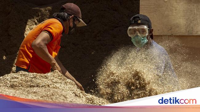 BJA Group Catat DHE US$58,8 Juta, Jadi Kontributor Terbesar Gorontalo