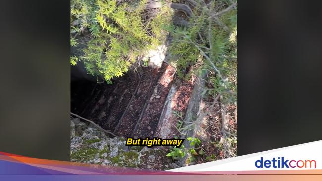 TikToker Temukan Tangga ke Bawah Tanah di Tengah Hutan, Isinya Aneh