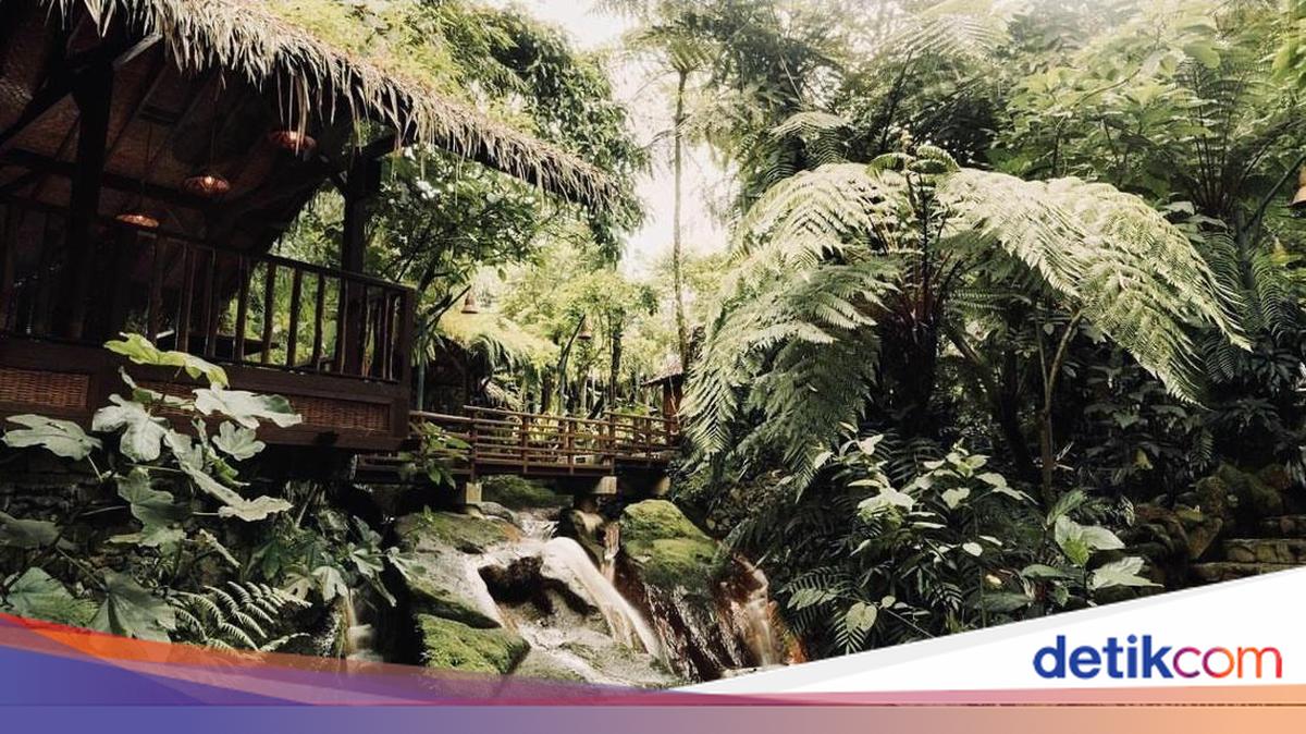 Kampung Daun, Oase nan Hijau di Bandung