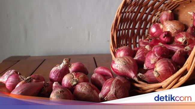 7 Bumbu Dapur Paling Ampuh Usir Tikus, Dijamin Tak Nongol Lagi