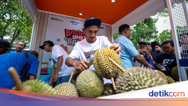 Pemberdayaan BRI Bikin Kelompok Petani Durian Pekalongan Makin Berkembang