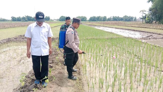 Brigadir Mustofa Ingin Pupuk Organik Makin Variatif untuk Solusi Masalah Petani