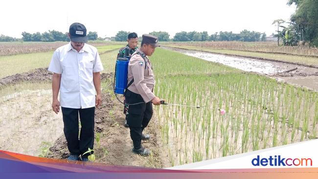 Brigadir Mustofa Ingin Pupuk Organik Makin Variatif untuk Solusi Masalah Petani