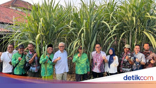 Bulog Beri Bantuan Traktor Dukung Produktivitas Petani Tebu di Blora
