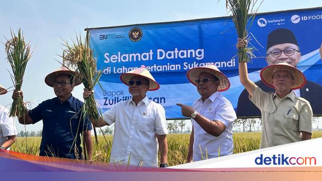Petani Subang Curhat ke Zulhas, Biaya Produksi Mahal-Tak Dapat Pupuk Subsidi