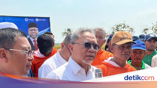 Zulhas Tinjau Sawah di Subang, Temukan Masalah Bibit-Pupuk Subsidi