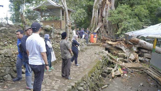 Pohon di Situs Mattabulu Soppeng Tumbang Kena Petir, 9 Orang Tewas