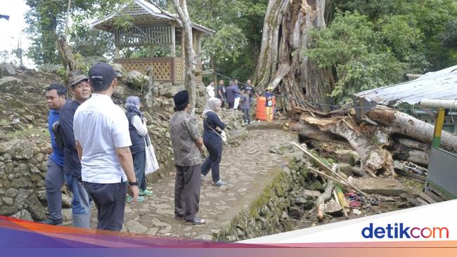 Nahas, 9 Wisatawan Tewas Tertimpa Pohon Tumbang di Situs Makam