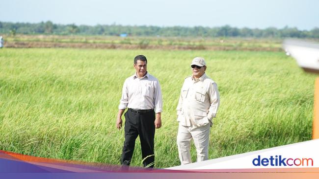 Prabowo Turun ke Sawah di Merauke, Tinjau Program Swasembada Pangan