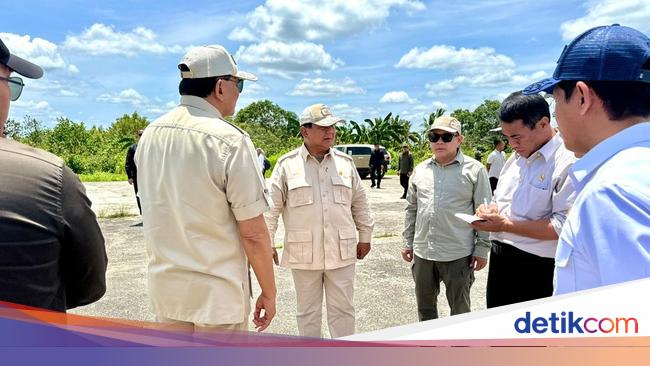 Begini Progres Proyek Cetak Sawah 1 Juta Ha yang Dicek Prabowo