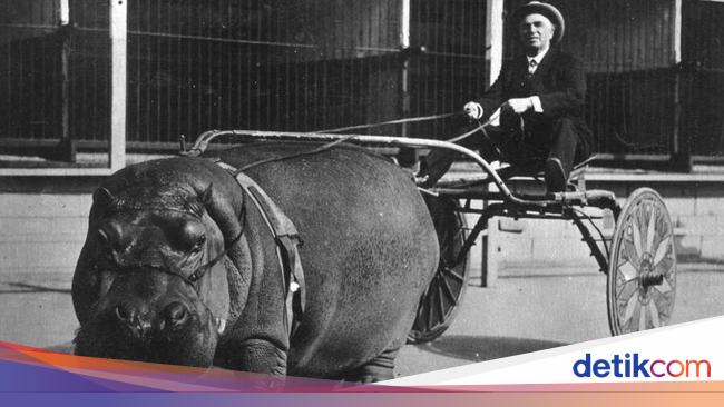 Foto Unik dari Masa Lalu Punya Cerita Tak Terduga