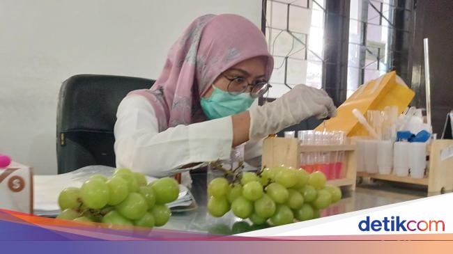 350 Sampel Anggur Muscat Sudah Diperiksa, Begini Hasilnya