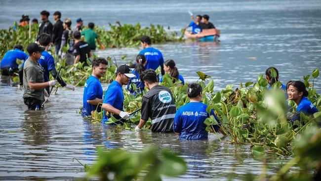 AQUA Bersihkan 12 Ton Eceng Gondok Danau Toba Bersama Pandawara Group