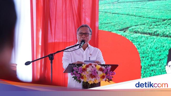 Zulhas Puji Kerja Keras Mentan, Optimistis Swasembada Pangan Tercapai