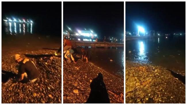 Viral Ratusan Ikan Loncat ke Pantai Lampung, BMKG Ungkap Penyebabnya