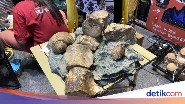 Bojonegoro Pamerkan Keindahan Geopark di Pameran Ekowisata IEF 2024