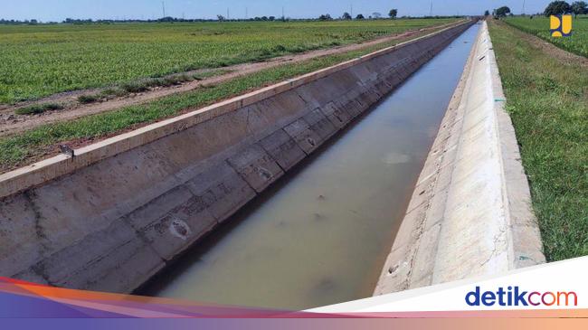 Proyek Irigasi di 4 Wilayah Ini Digeber, Ribuan Hektare Lahan Bakal Teraliri
