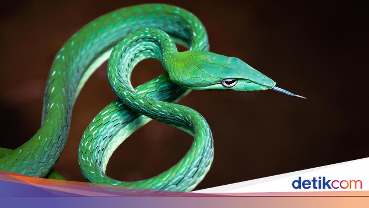 Ular uning kokraklarini telefonda tasvirga olishdi. Ular uning kokraklarini telefonda tasvirga olishdi.