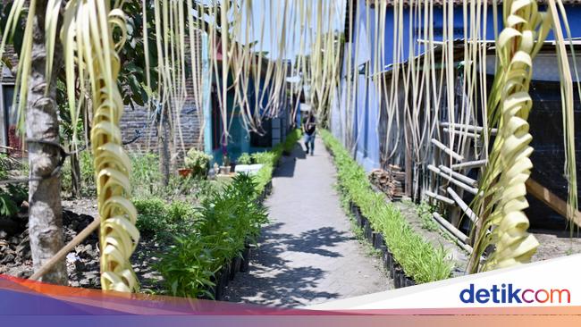 Pekarangan Desa Benelan Kidul Ini Berisi Kangkung, Tomat, hingga Cabai