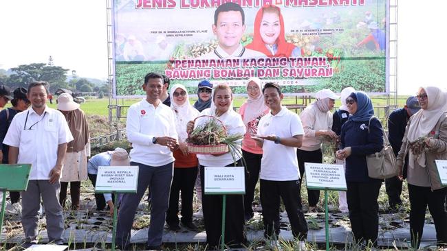 Pemkot Semarang dan BRIN Panen Bawang Merah Lokananta dan Maserati