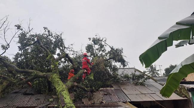 12 Rumah Rusak saat Hujan Deras dan Angin Kencang Landa Kota Bogor