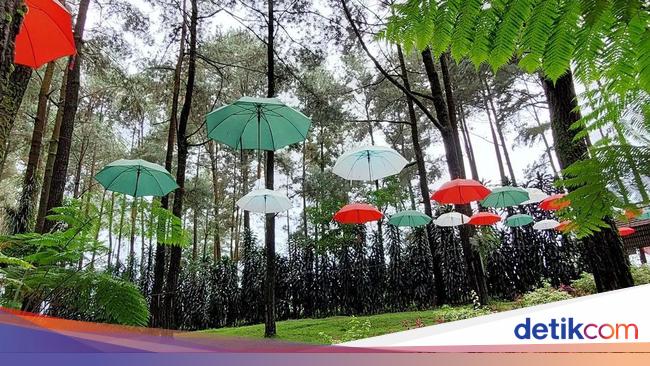 Mengenal Prabanlintang, Negeri Dongeng dari Tegal