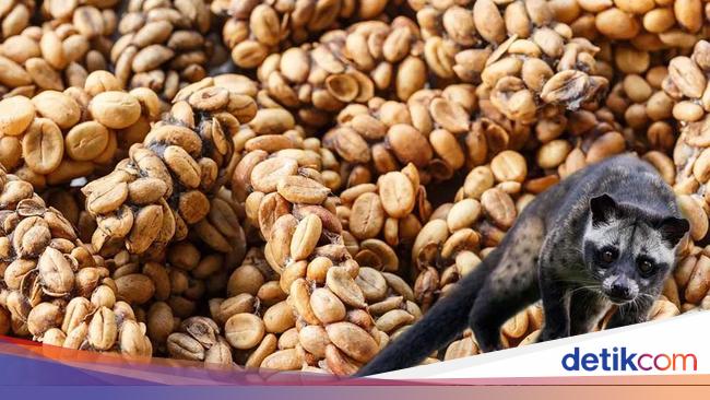 7 Jenis Kopi Terlangka di Dunia, Ada yang dari Indonesia!