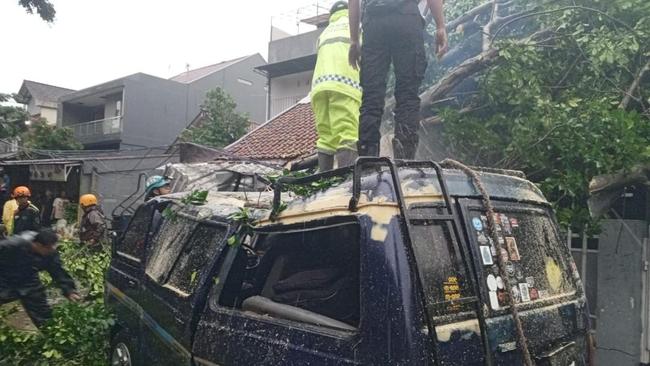 Pohon Tumbang Timpa Rumah hingga Mobil di Bogor, 1 Orang Terluka