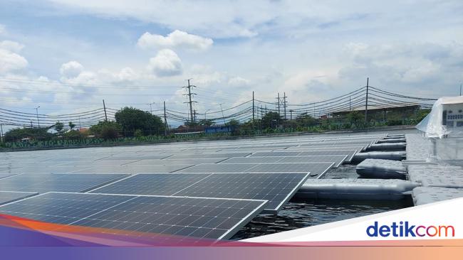 Begini Jurus PLN IP Capai Target Net Zero Emission