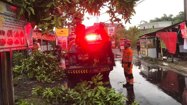 Pohon Tumbang Imbas Hujan dan Angin, Sempat Tutup Jalan di Bogor