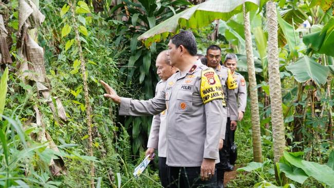 Dukung Ketahanan Pangan, Polda Metro Sulap Lahan 30 Ha Jadi Lumbung Pangan