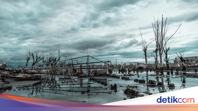 Bencana Hidrometeorologi Adalah Pengertian Jenis Contoh Dan Mitigasinya