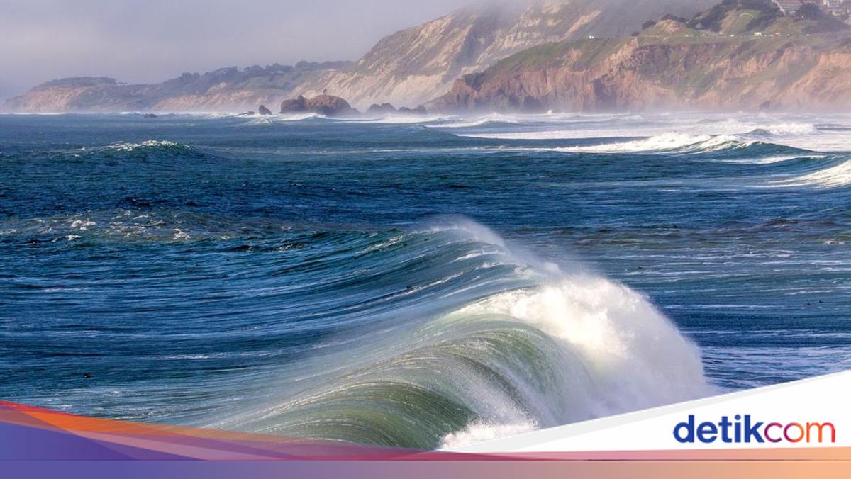 Melihat Ombak Besar di Laut
