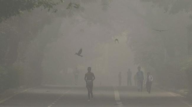 Seluruh Sekolah di New Delhi Tutup Sementara Akibat Polusi Udara Parah