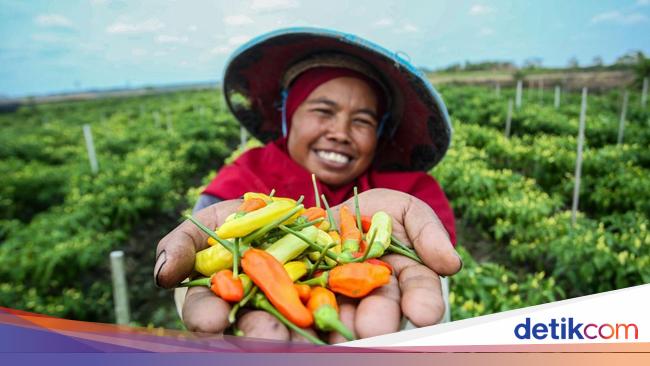 Diapresiasi UN Women, Ini Sederet Program BRI soal Pemberdayaan Perempuan