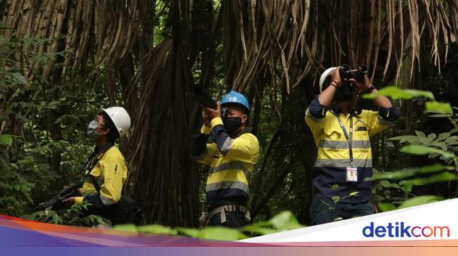 Jurus Grup Merdeka Jaga Keanekaragaman Hayati di Sekitar Area Tambang