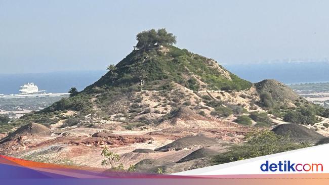 Pendiri UEA Ubah Pulau Pribadi Jadi Rumah Jutaan Pohon dan Ribuan Hewan