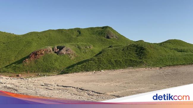 Pulau Hijau di Abu Dhabi Uni Emirat Arab