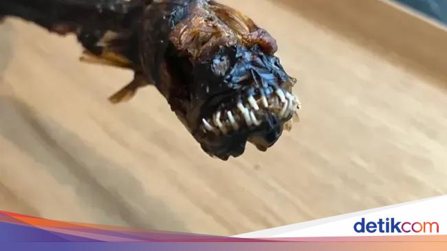 5 Makanan Eksotik Ini Disebut Mirip Alien dari Luar Angkasa