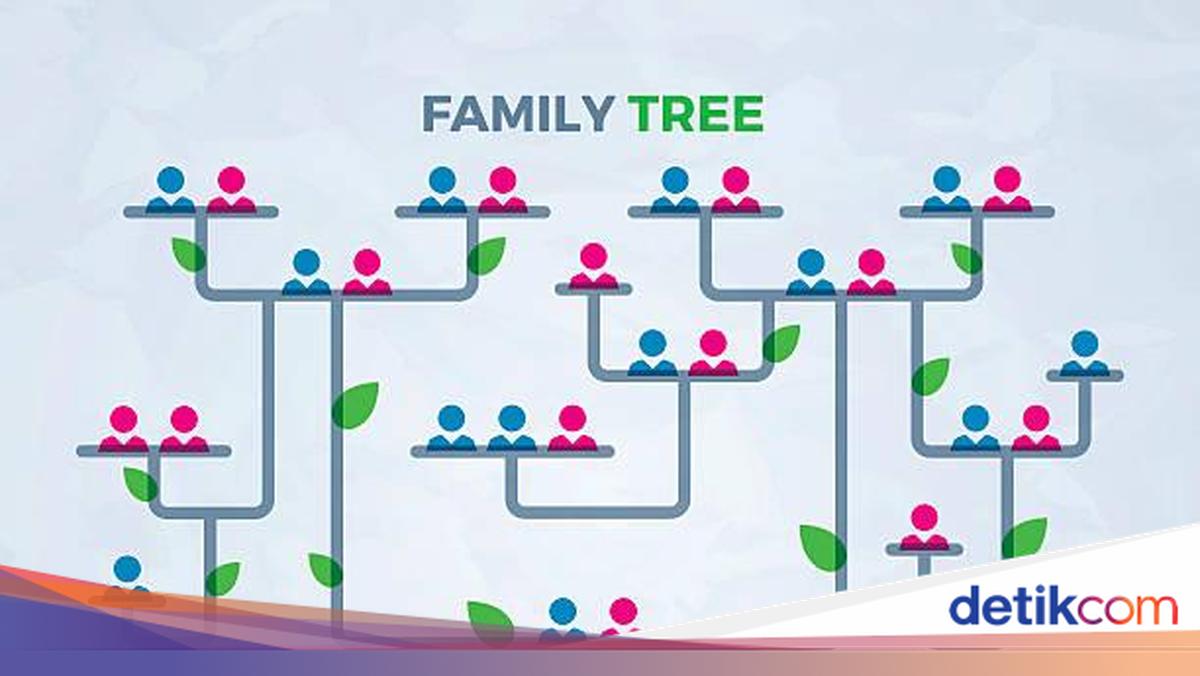 Family Tree Pohon Keluarga Dalam Bahasa Inggris Dan Contohnya