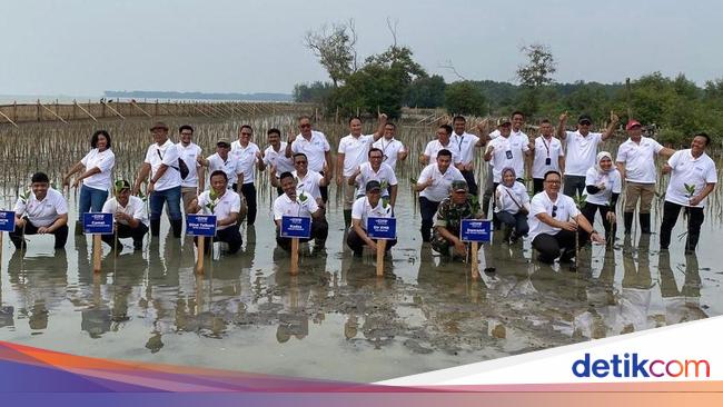 Penanaman 10 Ribu Mangrove oleh Telkom di Pantai Terancam Abrasi